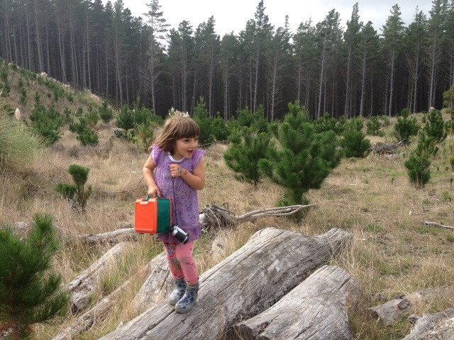 Woodhill Forest - pic for daddy