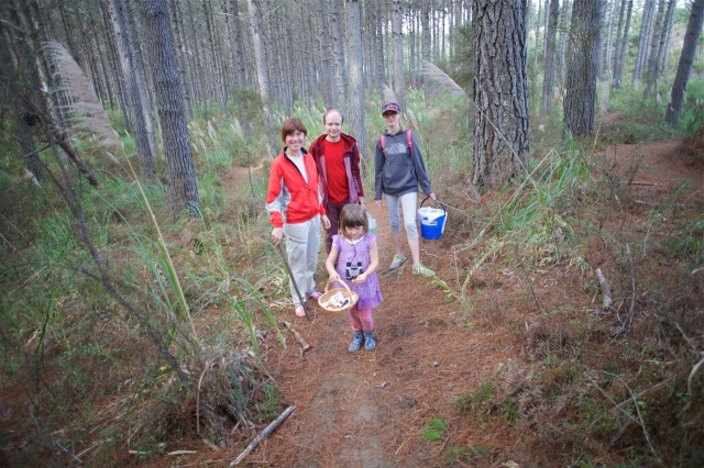 Woodhill Forest - foragers 